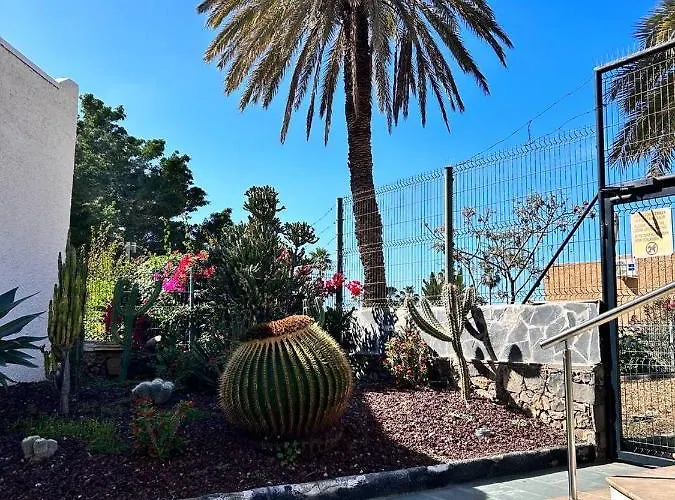 Virginia بلايا ذي لاس أميريكاس